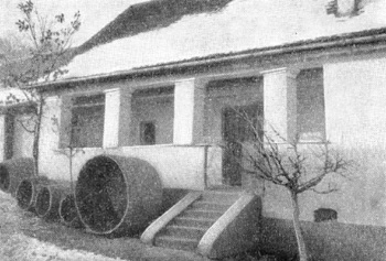 Архитектура в Воеводине: Нерадин. Крестьянский дом, начало XIX в.